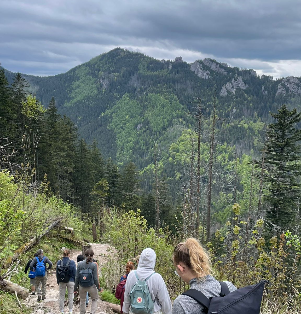 Transdisciplinary Learning in Action: ProBioTIC Field Excursion to the Carpathians