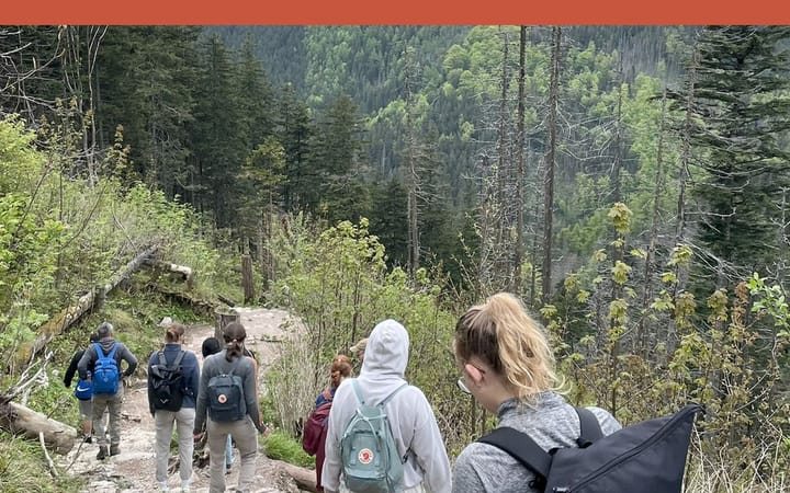 Bleistiftzeichnung eines aufgeschlagenen Feldnotizbuchs mit Pflanzenskizzen, eines Fernglases und eines Stücks Räucherkäse auf einem Felsen vor bewaldeten Karpatenhängen